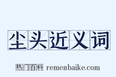 尘头近义词是什么意思的图片
